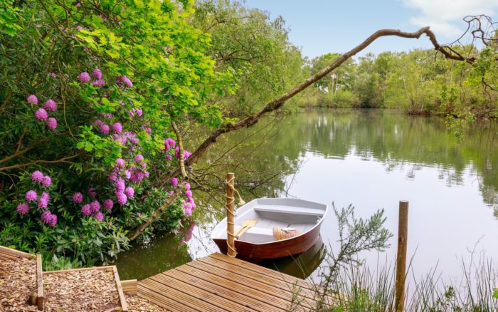 Wooden rowing boat moored at a timber jetty on the private lake, with pink rhododendrons flowering on the bank
